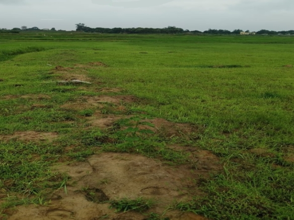 Land for sale in Ranchi