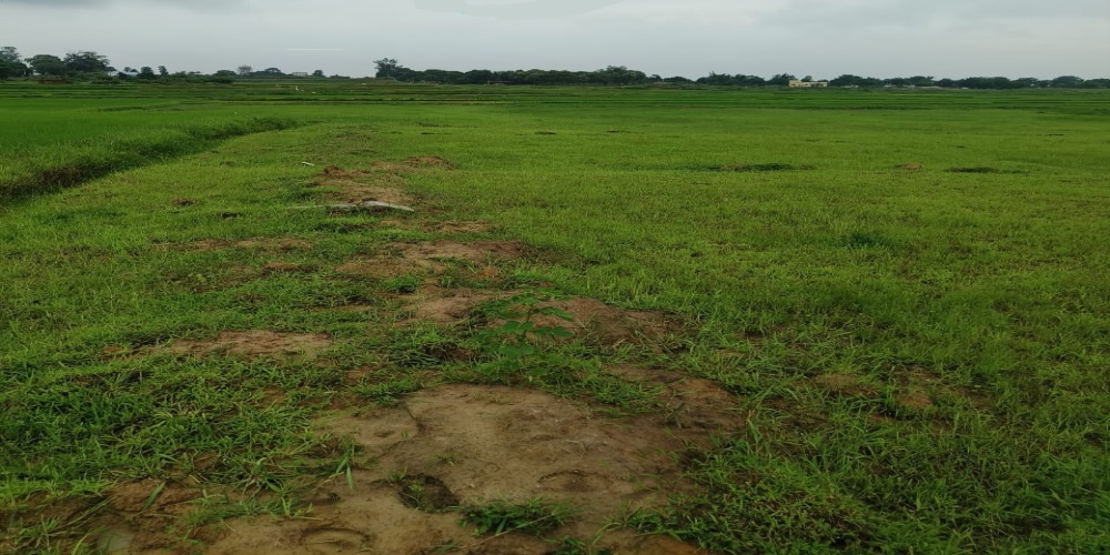 Land for sale in Ranchi